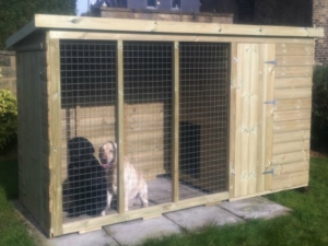 Timber Pent & Run Dog Kennels and Runs